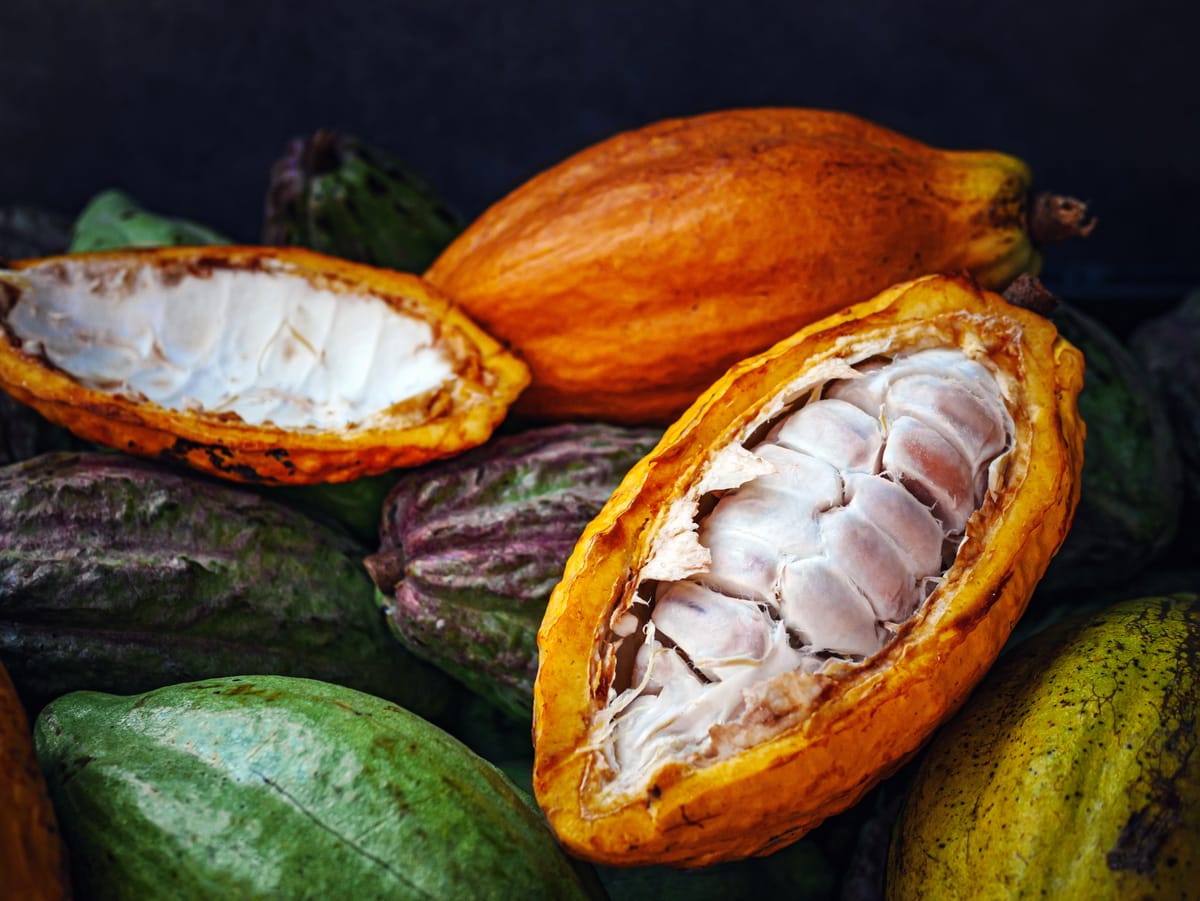 Compagnie du Bois Sauvage